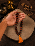 Divya Raksha Rudraksha & Karungali Mala