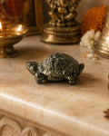 Astral Pyrite Tortoise