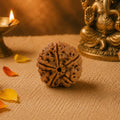 5 Mukhi Rudraksha - Panch-Agni Shield